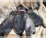 Small #4 Breeder Profile image