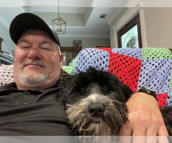 Medium Photo #47  Breeder Profile in BAYTOWN, TX, USA