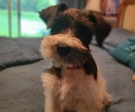 Small #17 Breeder Profile image