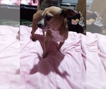 Small #8 Breeder Profile image