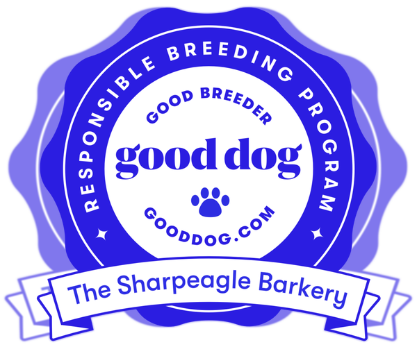 Medium Photo #1  Breeder Profile in INDIANAPOLIS, IN, USA