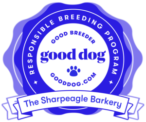 Sharp Eagle Dog Breeder near INDIANAPOLIS, IN, USA