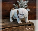 Small breeder photo