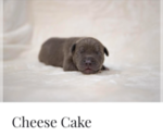 Small Photo #10  Breeder Profile in COON RAPIDS, MN, USA