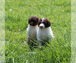 Small #73 Breeder Profile image