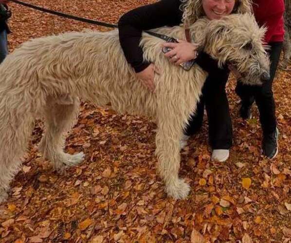 Medium Photo #3  Breeder Profile in WINDSOR, MO, USA
