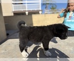 Small #8 Breeder Profile image