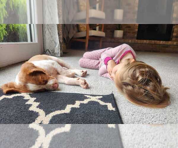 Medium Photo #18  Breeder Profile in HORTENSE, GA, USA