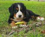 Small #3 Breeder Profile image