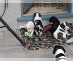 Small #3 Breeder Profile image