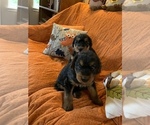 Small #8 Breeder Profile image