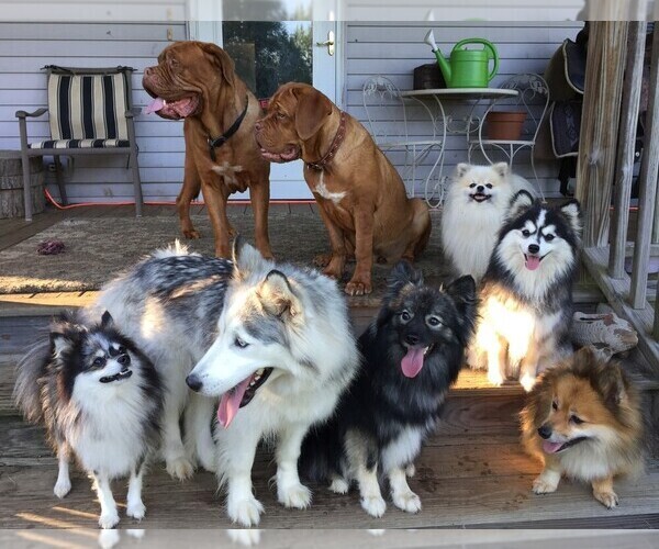 Medium Photo #1  Breeder Profile in SAVOY, MA, USA