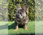 Small #18 Breeder Profile image