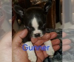 Small #1 Breeder Profile image