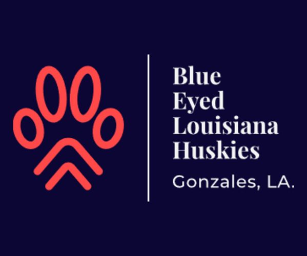 Medium Photo #1  Breeder Profile in GONZALES, LA, USA
