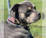 Small Photo #2  Breeder Profile in HOWE, TX, USA