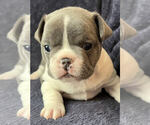 Small #1 Breeder Profile image