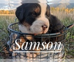 Small Photo #5  Breeder Profile in BONNERS FERRY, ID, USA