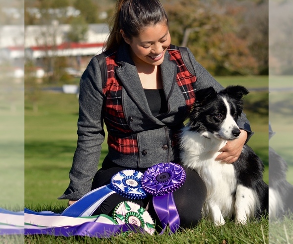 Medium Photo #14  Breeder Profile in BRYANTOWN, MD, USA