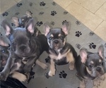 Small #3 Breeder Profile image