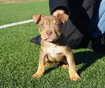 Small #2 Breeder Profile image