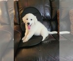Small #3 Breeder Profile image