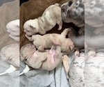 Small #7 Breeder Profile image