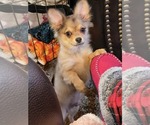 Small #32 Breeder Profile image