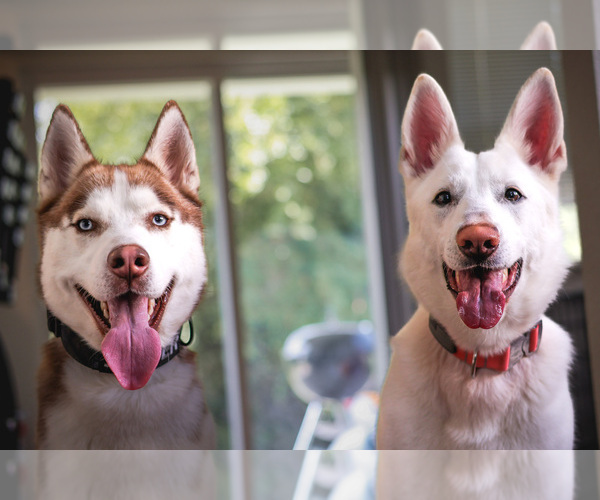 Medium Photo #1  Breeder Profile in HAMPTON, VA, USA