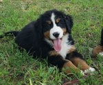 Small #2 Breeder Profile image