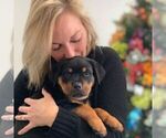 Small #4 Breeder Profile image