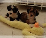 Small #1 Breeder Profile image