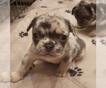 Small #27 Breeder Profile image
