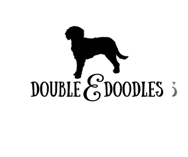 Medium Photo #1  Breeder Profile in ANDERSON, SC, USA