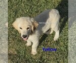 Small #2 Breeder Profile image