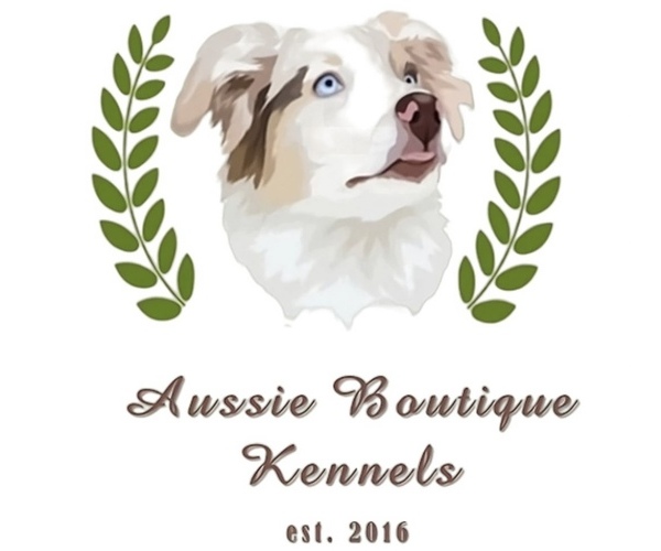 Medium Photo #1  Breeder Profile in ATLANTA, GA, USA