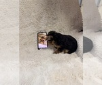 Small #10 Breeder Profile image