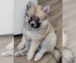 Small breeder photo