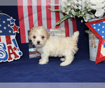 Small #75 Breeder Profile image