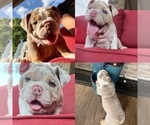 Small #1 Breeder Profile image