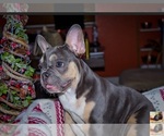 Small breeder photo
