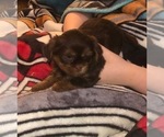 Small #27 Breeder Profile image