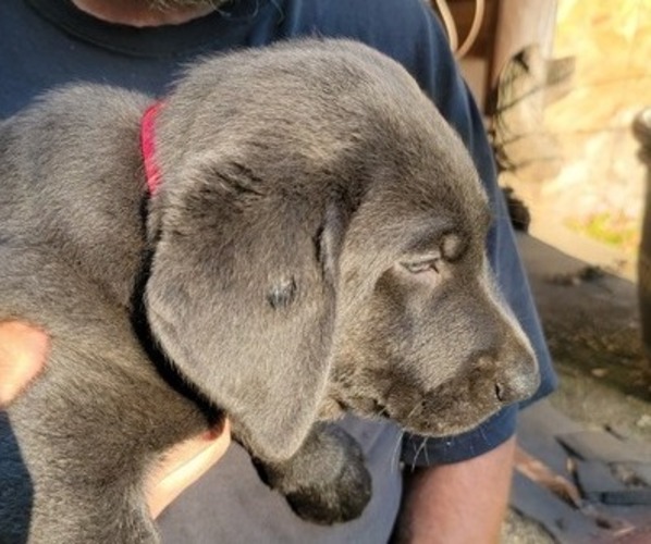 Medium Photo #6  Breeder Profile in PRINCETON, MN, USA