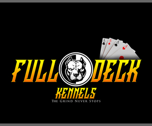 American Bully Dog Breeder near PORTAGE, IN, USA