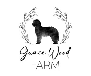 Sheepadoodle Dog Breeder in FORT MILL,  USA