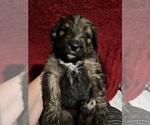 Small #7 Breeder Profile image