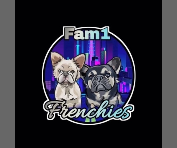 Medium Photo #1  Breeder Profile in CERES, CA, USA