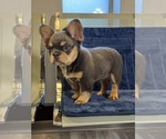 Small #15 Breeder Profile image