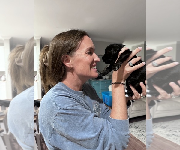 Medium Photo #1  Breeder Profile in WILMINGTON, NC, USA