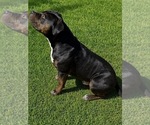Small #3 Breeder Profile image